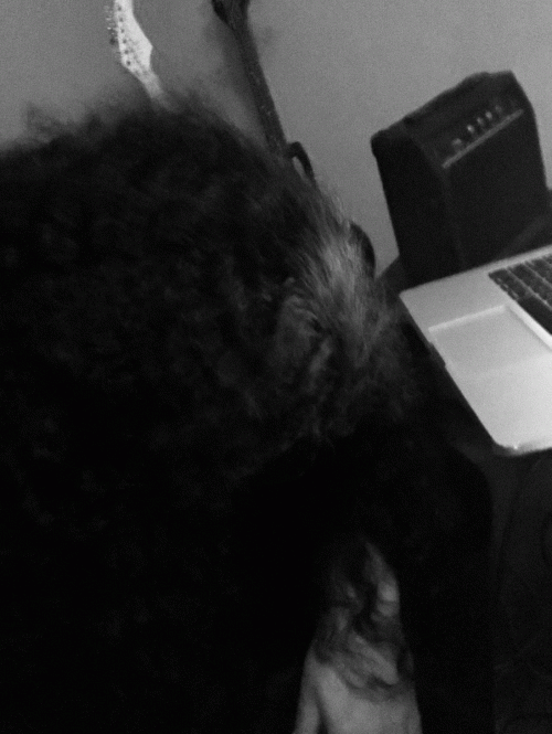 Valefar (USA) : Into Eternity!